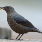 28圈H5在艺术创作中的创新表现形式 3y48tdyx4